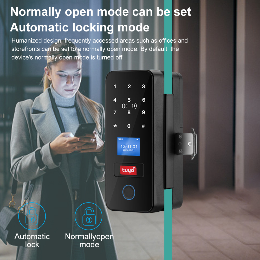 Double Hook Smart Glass Door L - Furniture Sliding Door Hardware review and price